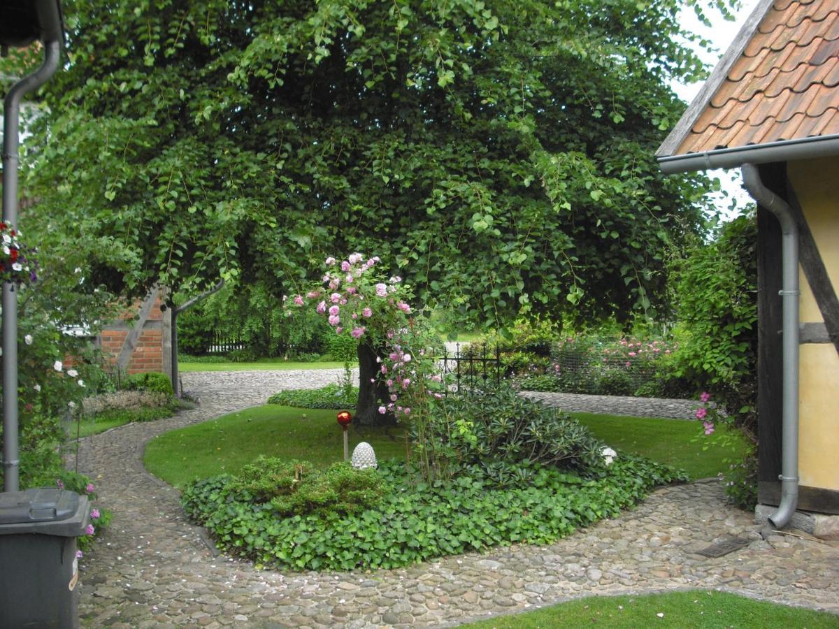 Appartement Landhaus Kiesow à Suderburg Extérieur photo