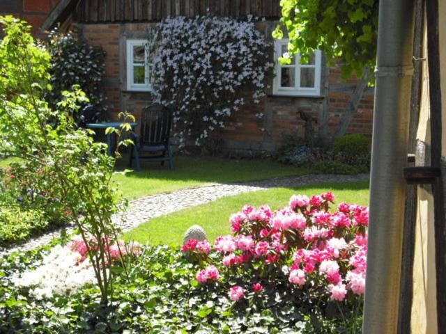 Appartement Landhaus Kiesow à Suderburg Extérieur photo