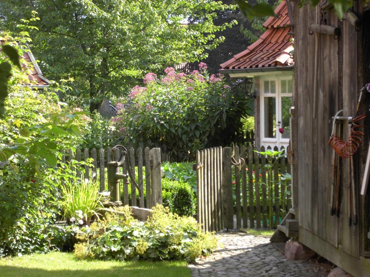 Appartement Landhaus Kiesow à Suderburg Extérieur photo