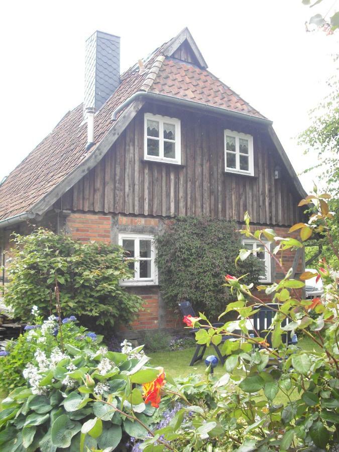 Appartement Landhaus Kiesow à Suderburg Extérieur photo